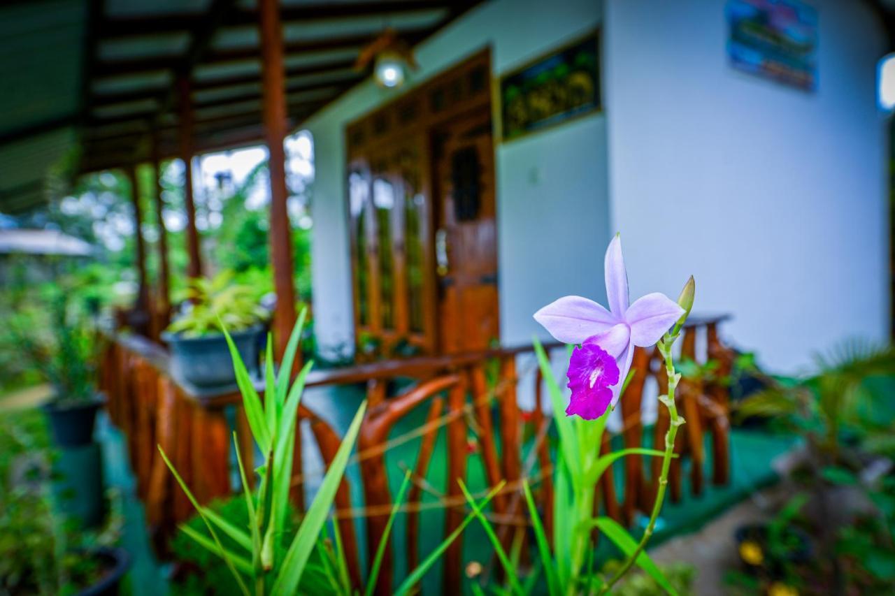 Astral Zone Cottage Ella Zewnętrze zdjęcie